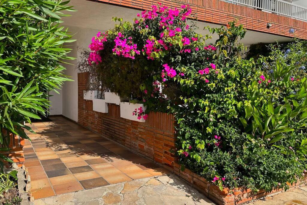Apartamento Acogedor , Blanes Bagian luar foto